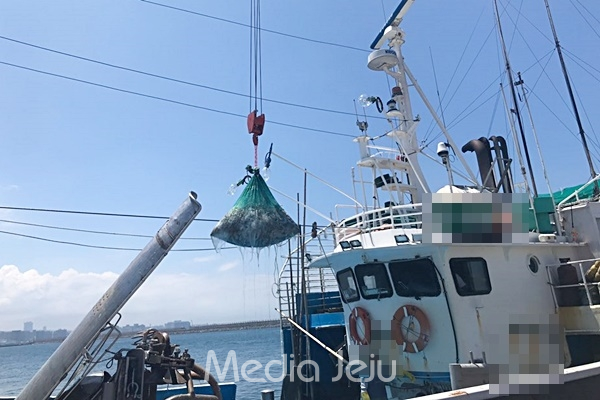 제주 인근 조업금지 해역에서 바다장어 300kg을 어획한 통영선적 어선 D호(79t, 승선원 11명)가 2일 제주해경에 적발됐다. [제주해양경찰서]