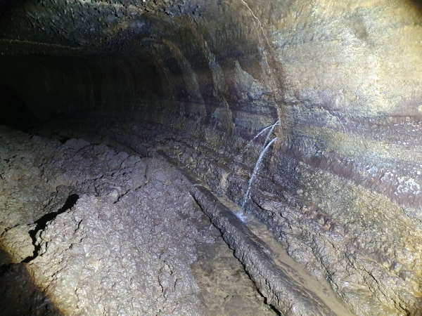 용천동굴 벽면에서 빗물이 뿜어져나오는 모습. /사진=제주특별자치도 세계유산본부