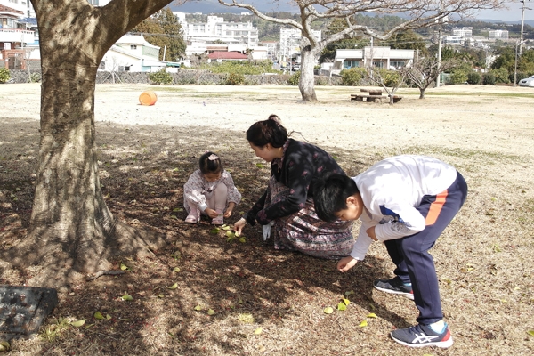 서귀포학생문화원 앞에 있는 먼나무 아래에서 자연을 만끽하는 황지현씨와 아이들. 미디어제주