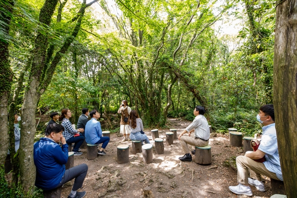 2020 MICE 특화상품으로 선정된 환상숲 곶자왈 공원의 ‘느영나영 곶자왈 환상숲파티’.
