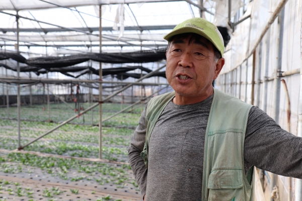 1994년부터 26년째 시설채소 재배를 하고 있는 허창보 고근산 시설원예 영농조합법인 대표.