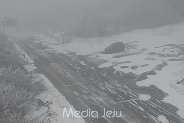 29일 오전 제주 1100도로에 눈이 쌓여 있다. [한라산국립공원 CCTV 갈무리]