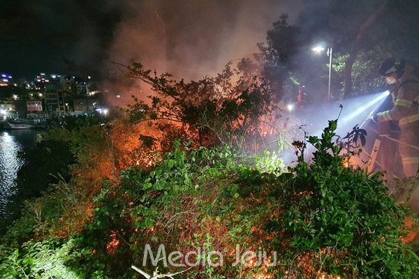 23일 새벽 소방대원들이 서귀포항 앞 새섬 화재를 진화하고 있다. [서귀포소방서]
