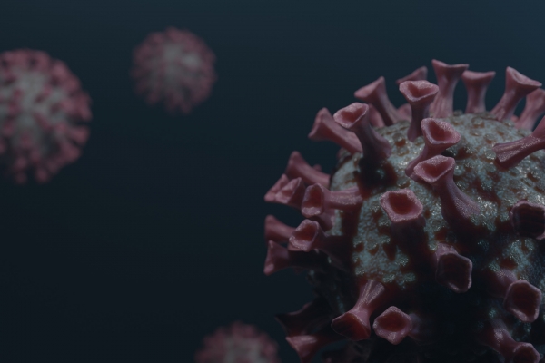 제주에서 영국발 알파(α) 변이 바이러스에 의해 코로나19에 감염된 사례 8건이 추가로 확인돼 도내 확진자 중 변이 바이러스가 검출된 것으로 확인된 확진자는 89명으로 늘어났다.