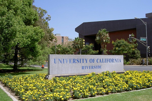 미국 캘리포니아대학교 리버사이드.