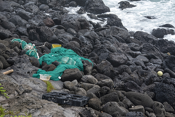 지난 17일 서귀포시 대정읍 해안가에 밀려온 쓰레기들. 대형 그물 등의 쓰레기가 어렵지 않게 목격되고 있다. 제주도내 해양환경단체에서는 이와 같은 대형 그물에 제주 남방큰돌고래 등이 걸려 목숨을 잃을 수 있다고 경고하고 있다.