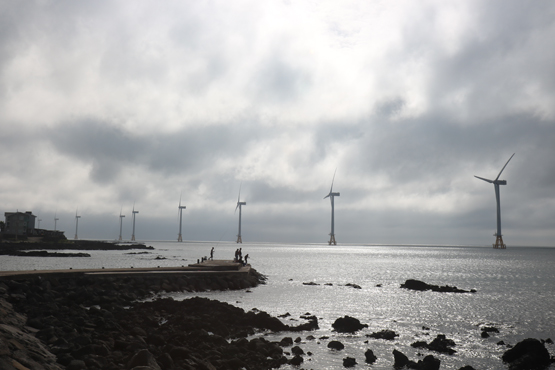 사진은 한경면 앞바다에서 가동 중인 탐라해상풍력발전단지 모습.