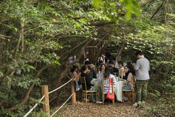 지난 6월 서귀포시 남원읍 한남리 머체왓 숲에서 운영된 '머체왓 레스토랑' 모습. /사진=제주관광공사