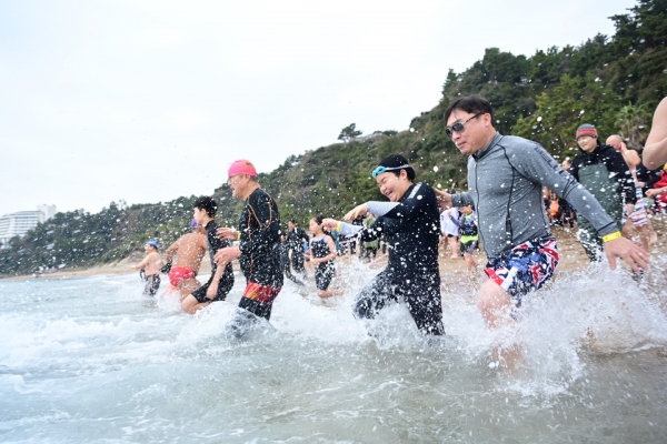 새해 첫날 중문색달해수욕장에서 열린 제25회 서귀포 겨울바다 국제펭귄수영대회 참가자들이 추위에도 아랑곳없이 바다로 뛰어들고 있다. /사진=서귀포시