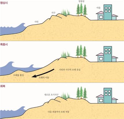 해안사구의 복원 기능과 모래 보충 기능. /자료 출처=국립환경과학원