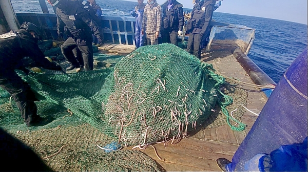 마라도 해상에서 위반행위를 한 중국어선들이 해경에게 나포됐다/사진=서귀포해양경찰서