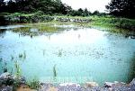 제주시 마을 연못 ‘자연생태학습장’ 변신
