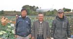 한경농협, “양배추 일본 수출한다”
