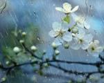 [날씨] 가을비 ‘촉촉’…내일 비 그친 뒤 ‘쌀쌀’