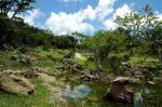 한라생태숲, 탐방객 대상 ‘숲 해설 프로그램’ 운영