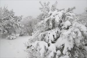 제주 산간 눈…내일도 추위‧도로 곳곳 결빙 우려
