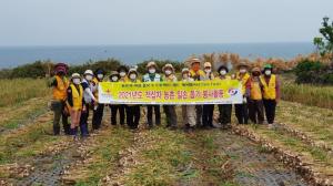 제주적십자사, 농촌 마늘수확 일손돕기 봉사활동 참여