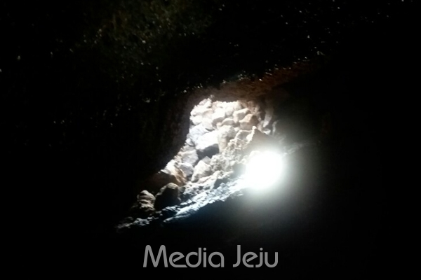 제주 제2공항 예정지로부터 600m 가량 떨어진 곳에서 새로운 동굴이 발견됐다. 사진은 동굴 내부에서 입구 쪽을 바라본 모습. /사진=성산읍반대대책위
