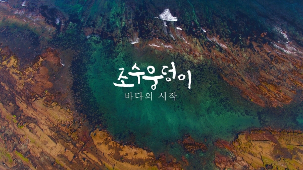 임형묵 감독의 영화 &lt;조수웅덩이: 바다의 시작&gt; 타이틀.