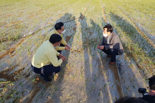 지난달 28일 제주도와 농협 관계자들이 마늘 피해농가 현장을 점검하고 있는 모습. /사진=농협 제주지역본부