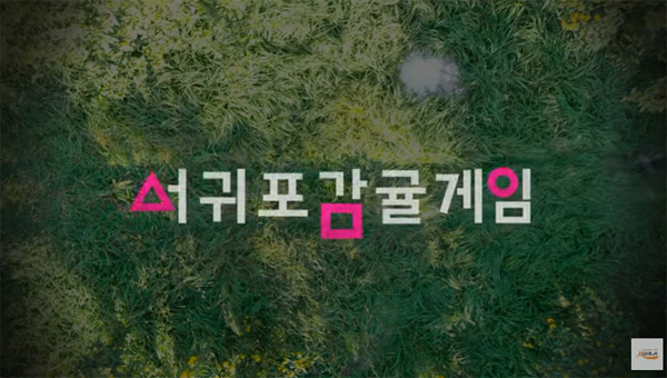서귀포시 소속 공무원들이 '오징어 게임'을 패러디해 만든 제주감귤 홍보 동영상. /사진=감귤 홍보 영상 갈무리