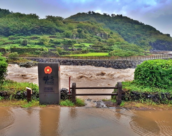 2019년 범람한 화북천 모습. 남아있는 1개 지류 옆쪽으로 물이 범람해 인근 주민들이 수해를 겪었다.