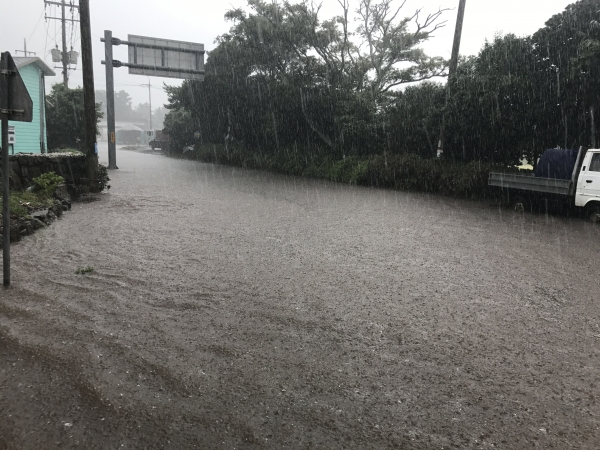 서귀포시 온평리 포구 일대 마을길이 폭우에 물에 잠긴 모습. /사진=서귀포시