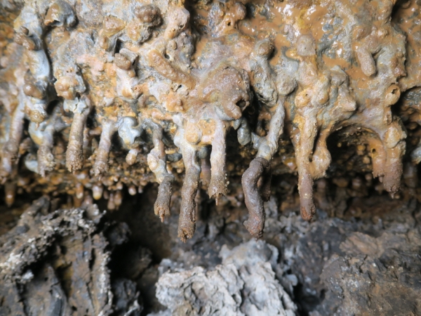 2019년 제주 서부지역 비지정 천연동굴 조사에서 확인된 동굴 생성물. /사진=제주특별자치도 세계유산본부