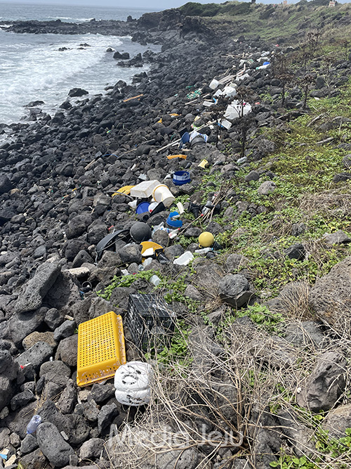지난7월17일 대정읍 신도리의 한 해안가 모습. 수많은 쓰레기들이 해안가에 떠밀려 와 있다.