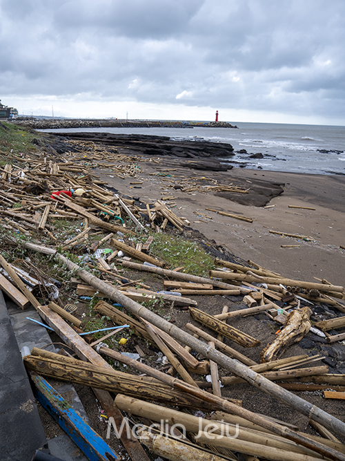 제11호 태풍 '힌남노'가 제주를 지나가고 난 후 서귀포시 대정읍 사계리 해안에 태풍의 영향으로 떠밀려온 많은 쓰레기가 쌓여 있다.