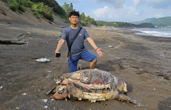 대정읍 산방산 앞 황우치해변에서 붉은바다거북 사체가 발견됐다/사진=제주자연의벗