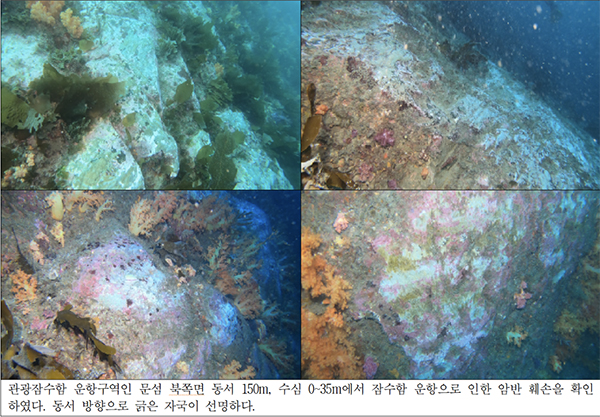 녹색연합이 "서귀포 관광잠수함으로 인해 연산호 군락지가 훼손됐다"며 지난해 공개한 사진. /사진=녹색연합.