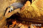 남제주군 수산동굴, 천연기념물 지정예고