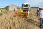 함덕농협, 콩 수확 작업 대대적 지원