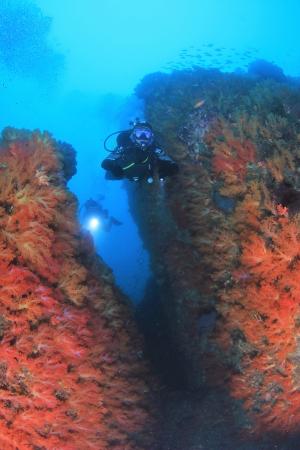 제주바다 수중비경 10선, 이색 수중관광지로 알린다