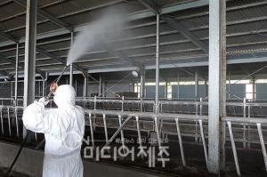 한림 오리농장 H5N8형 고병원성 조류인플루엔자 최종 확진
