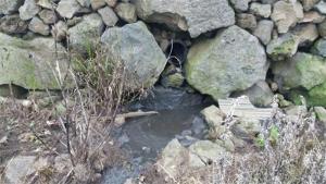 제주 지하수 오염 지적 받는 가축분뇨 방류수, 수질기준 높인다