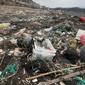 국내 해양쓰레기 가장 많은 곳, 제주바다 ... 겨울철 더욱 심각